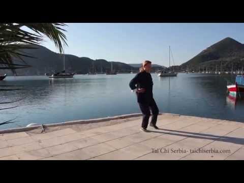 Shibashi Tai Chi Qigong level II set of exercises