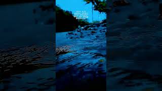 Download lagu Untuk story WA, IG suasana alam sungai mp3
