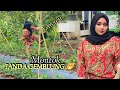 JANDA DESA MONTOK ASLI BIKIN TEGANG NGINTIP KESEHARIAN JANDA CANTIK NENG NIA