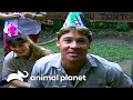 The Irwin S Celebrate Their 168 Year Old Tortoises Birthday Crocodile Hunter Animal Planet
