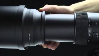 Sigma 150-600mm f/5-6.3 DG OS HSM Contemporary Lens 745-306 B&H Sigma 150-600mm f/5-6.3 DG OS HSM Contemporary Lens 745-306 B&H