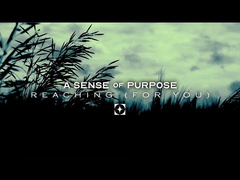 A Sense of Purpose - Reaching (For You) (Official Stream Video)