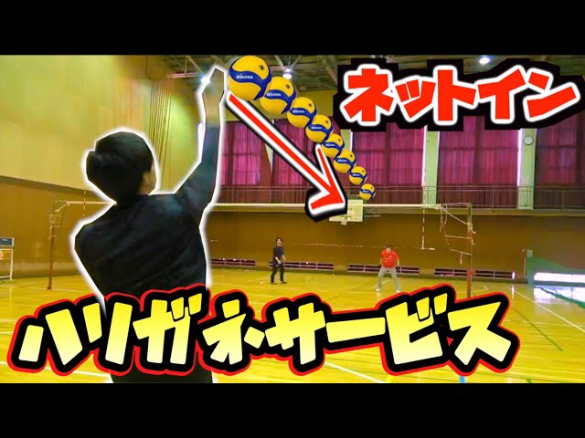 バレーボール