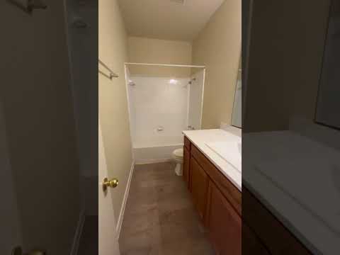 T113 SHAMP - Video 2 of 2
