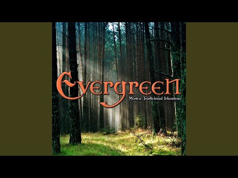 Farewell to Ireland/Drowsy Maggie/Laurel Tree