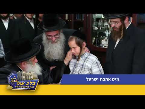Kossov viznitz matching campaign