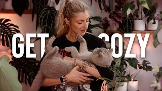 Hang out with me! Repotting, Books, Cats and more!