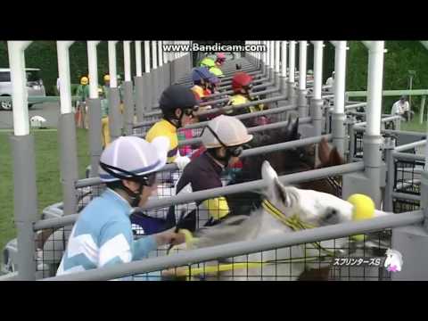 2017 スプリンターズステークス（グローバルスプリントチャレンジ） G1　レッドファルクス　SPRINTERS STAKES G1　Red Falx