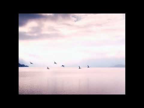 Dakar Flow   Carmen María and Edu Espinal 1 Hour