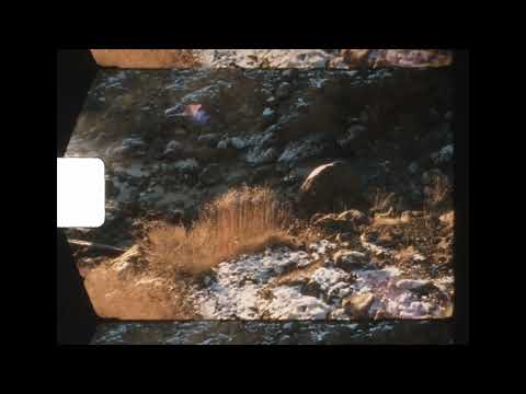 Video thumbnail for Dear Soulmate (Live)
