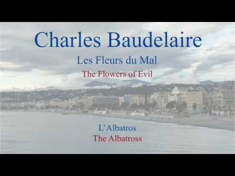 French Poem - L'Albatros by Charles Baudelaire -  Slow Reading