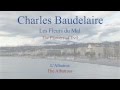 French Poem - L'Albatros by Charles Baudelaire ...