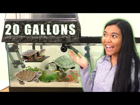 20 GALLON TURTLE TANK IDEAS | Reacting to your tanks ep. 7