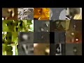 More Than 20 NHI Beings Are In The Las Vegas Alien Video See For Yourself