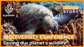 Is it too late to save our planet's biodiversity? | Inside Story