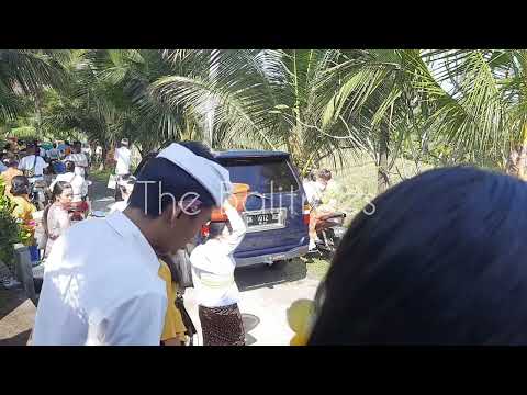 Galungan Celebration - The Balitrees