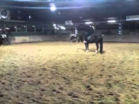 paardrijles 29 09 2010 3