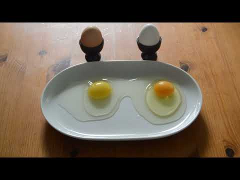 Eier bio & konventionell, kurz erklärt