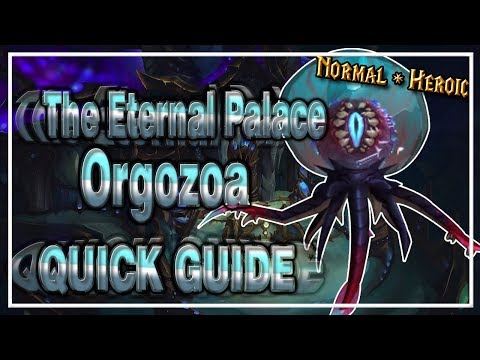 Orgozoa│The Eternal Palace│QUICK GUIDE (Normal & Heroic)