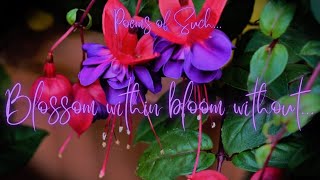 Blossom within bloom without...| @poemsofsuch...