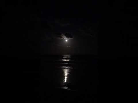 Algenes Aranha Moonlight over Gold Coast Beach 2019