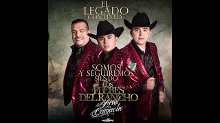 Si Mañana No Me Llamas - Los Plebes del Rancho ( LETRA ) 2017