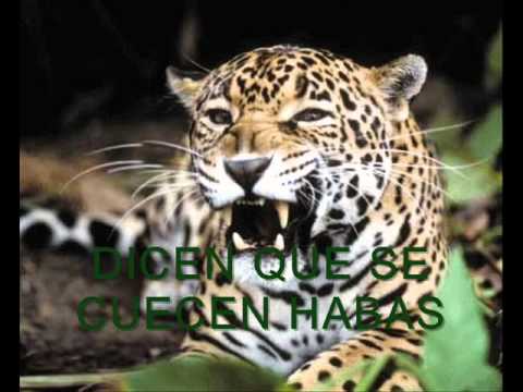 SENTIMIENTO NORTEÑO - frontera verde