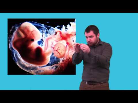 How to Sign Zygote in BSL