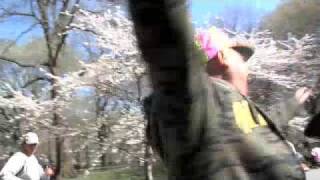 &quot;Crash Me Up&quot;   by Telling on Trixie