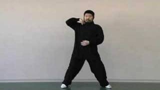 Advanced Silk Reeling 3