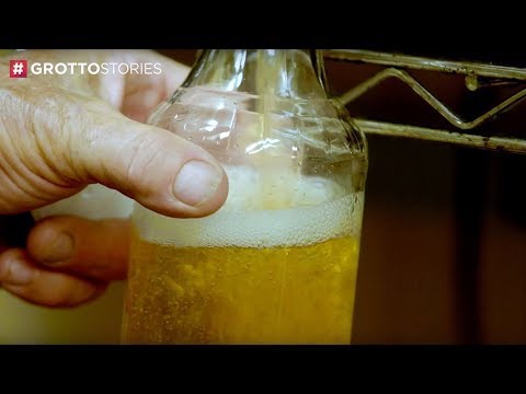 download lagu mp3 mp4 Rochester Organic Root Ginger, download lagu Rochester Organic Root Ginger gratis, unduh video klip Rochester Organic Root Ginger