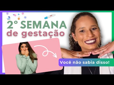2 SEMANAS DE GRAVIDEZ já dá positivo, ultrassom, semana 2 de gestação sintomas, tamanho do feto