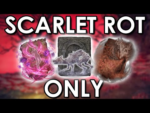 Breaking Elden Ring With ROT ONLY!