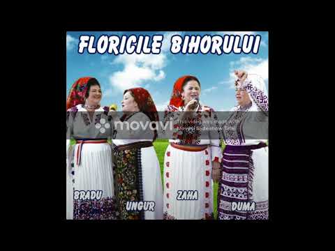 Floricile Bihorului - Ma bagai la voi in casa