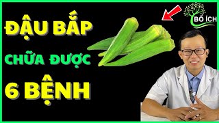 6 Benefits of Okra That Can Cure 6 Most Common Diseases - Useful Health Channel