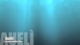 Arakne Mediterranea - Auelì