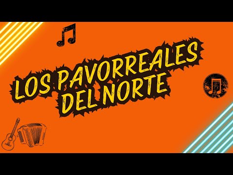 Los pavorreales del norte- Ojitos soñadores (acústico)