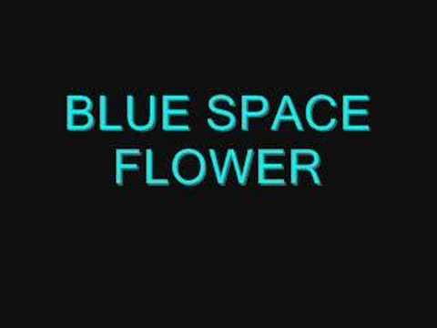 BLUE SPACE FLOWER