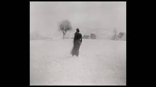 Max Richter - Julia Walking