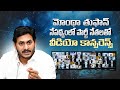 LIVE Video Conference With YSRCP Leaders On The Cyclone Montha Situation