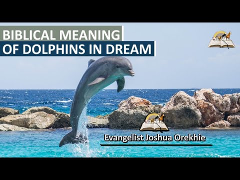 Biblical Meaning of DOLPHINS in Dreams - Dream About Dolphin Symbolism