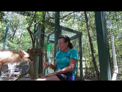 Spending time with Loxy