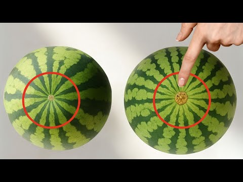 Just look at this detail. You'll always choose the sweet watermelon.