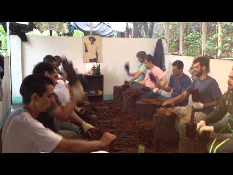 Feitio Céu do Planalto 01-03-2014