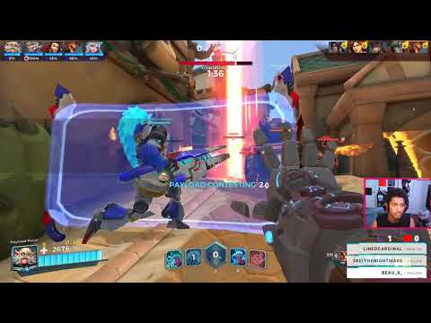 Paladins But We Choose Each Others Champions