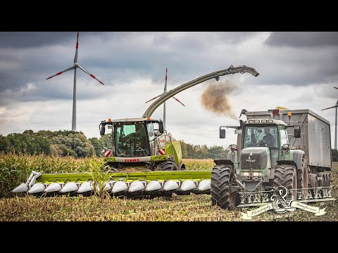 MAISKILLER | @claas_global  Jaguar 980 + Conspeed | LKS | FENDT 936 | LIESCHKOLBENSILAGE | LU Schütt
