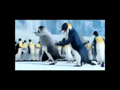 Happy Birthday Alexandra