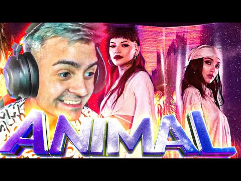 Las amo😍 "Reaccion Maria Becerra, Cazzu - ANIMAL (Official Video)"