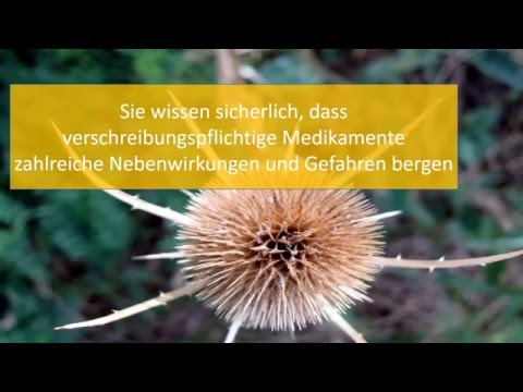 Rückenschmerzen bei chronischer Bronchitis Wie wird man von der Steifigkeit in den Kniegelenken befreien
