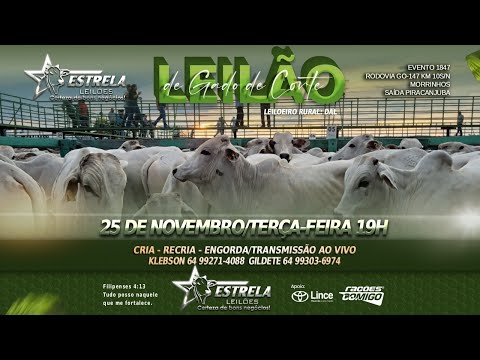 ESTRELA LEILÕES -  25  / 11  / 2025 -  18:45 HS. - Morrinhos  - Goiás